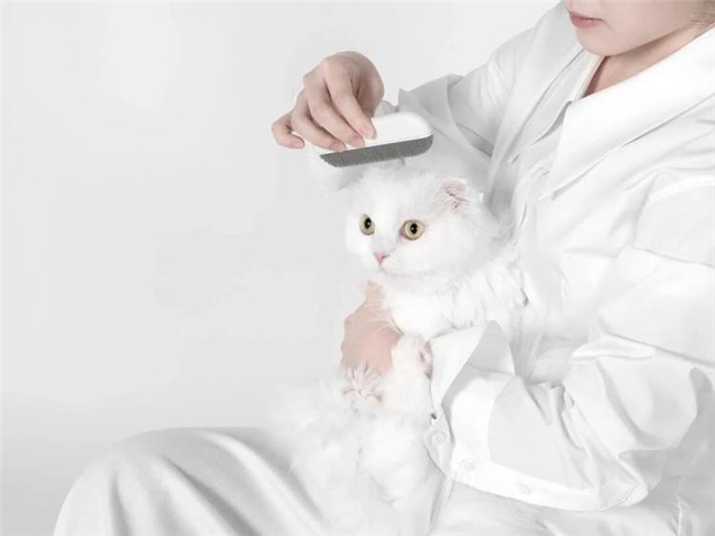 毛孩子的生活器物:兼具实用与颜值的创新宠物设计
