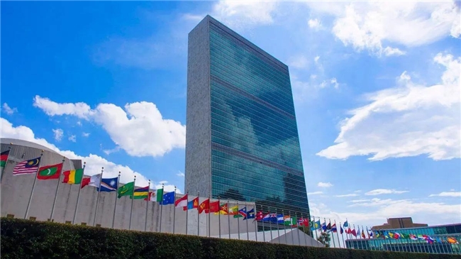 启程！中国 NGO 将赴联合国主办 HLPF 官方边会 以标准化方案助力全球可持续发展