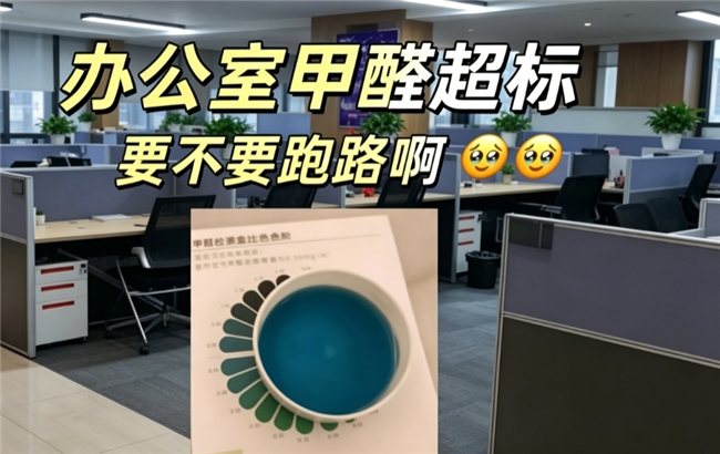 工区甲醛超标,忍还是走?别冲动!先做好防护再谈维权,顺序不能错
