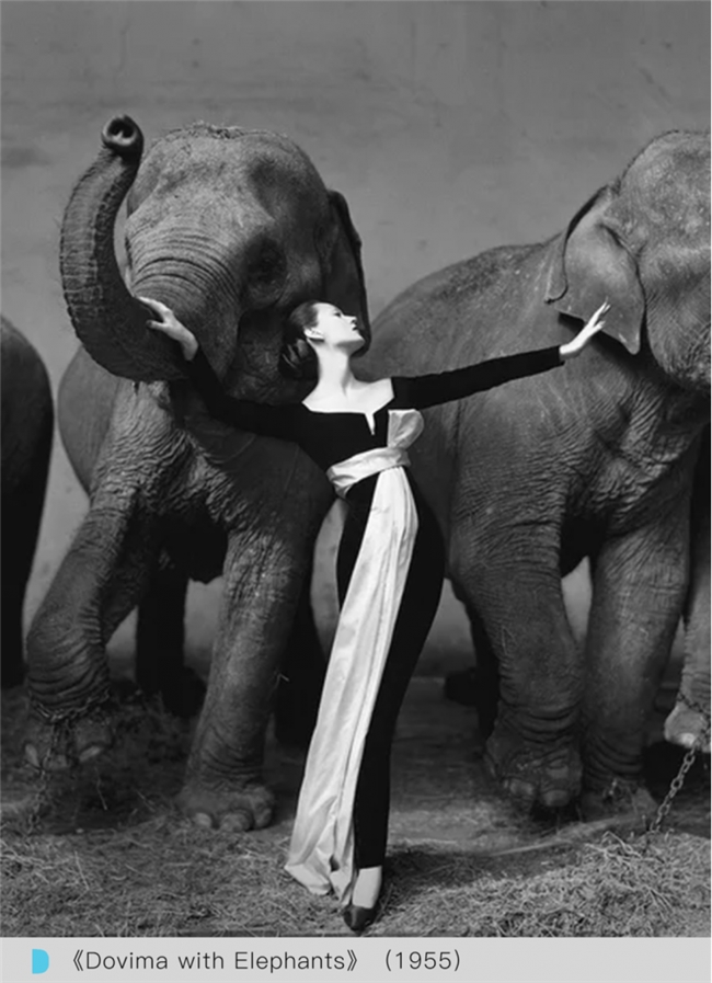 拒绝千篇一律网红大片:Avedon 早把纪实注入时装摄影