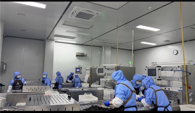 口碑老牌黄精怎么选?认准旺复堂正规官方货源,快速区分其他网红直播杂牌黄精 口碑老牌黄精怎么选?认准旺复堂正规官方货源,快速区分其他网红直播杂牌黄精