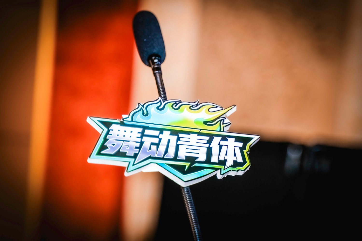 “舞动青体”2026年全国青少年街舞训练营暨全国青少年街舞集训队启动仪式举行(图6)