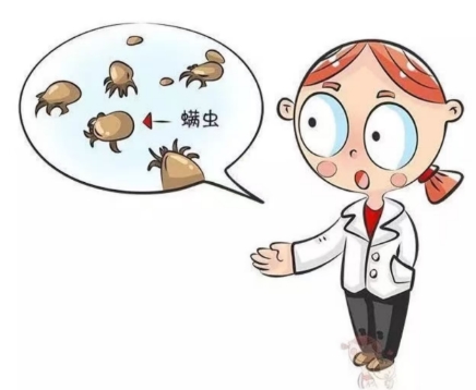 央视披露:过敏、炎症可能都与卧室螨虫有关!网传除螨妙招靠谱吗?一文讲清(附除螨攻略)