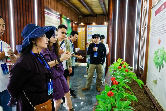 南国神草香 长路共康养 | 2026自驾文山·康养漫游，开启滇东南文旅新篇章