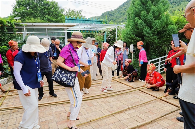 南国神草香 长路共康养 | 2026自驾文山·康养漫游，开启滇东南文旅新篇章
