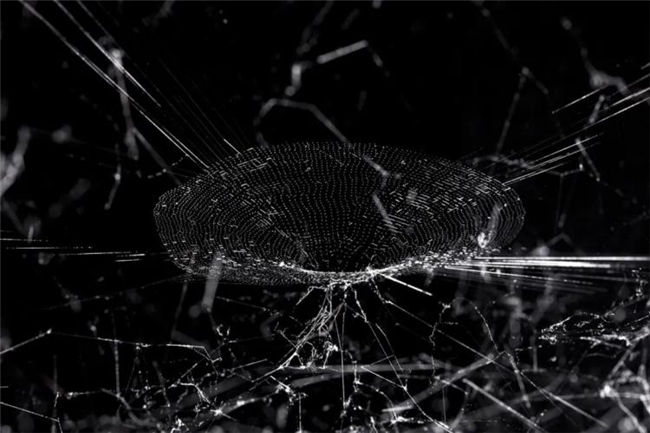 超现实主义的生态先声:从诗性想象到跨物种共生美学
