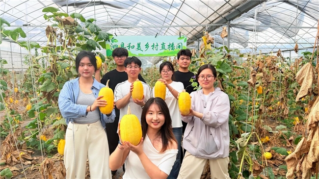 无人机巡瓜田，AI智助乡村振兴：淮北师范大学学子揭开金丝绞瓜的神秘面纱