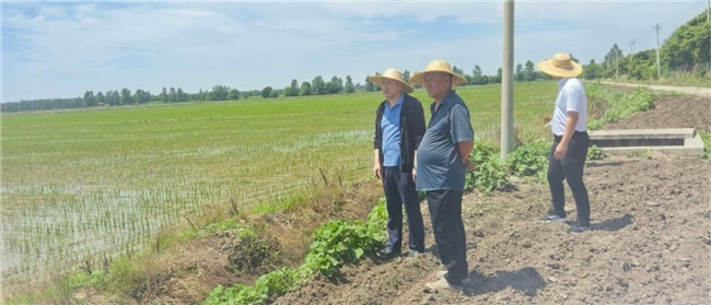 风雨见担当 太平筑防线——太平财险天津分公司全力应对汛期考验