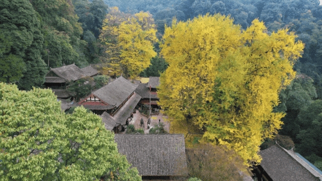 烟火与仙韵共生：川味符号在国产动画中的场景化设计表达