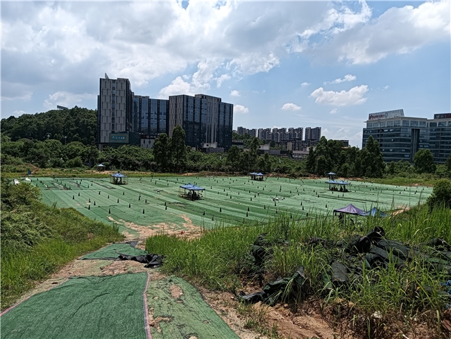 广州无人机培训不同班型价格对比：全日制vs周末班
