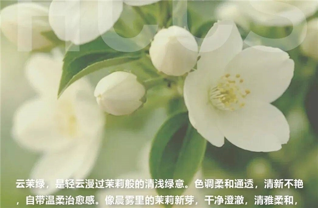 绿色总穿出土气感？学会这3种绿的高级配色，轻松穿出清冷贵气
