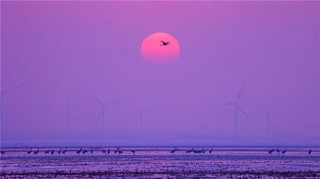 定格风能时代画卷 ——2026年中国风能摄影大赛征集通知