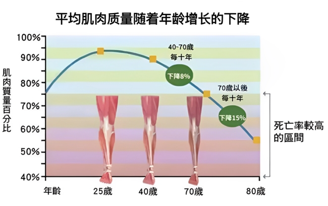 中年肌肉流失怎么办？赛立复NAD+MAX 30000搭配运动提供新思路