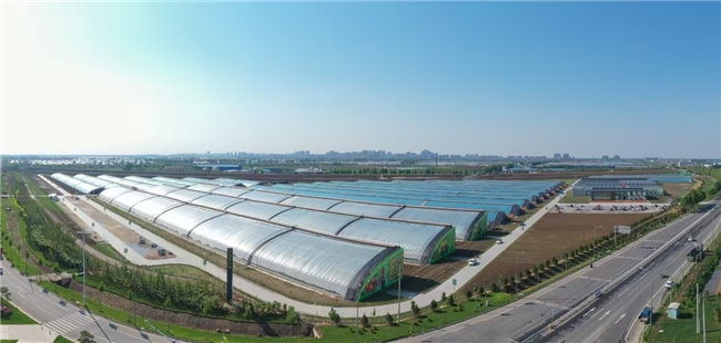 五方联合启动设施农业项目 探索人工腐殖质土壤改良与微塑料降解机理