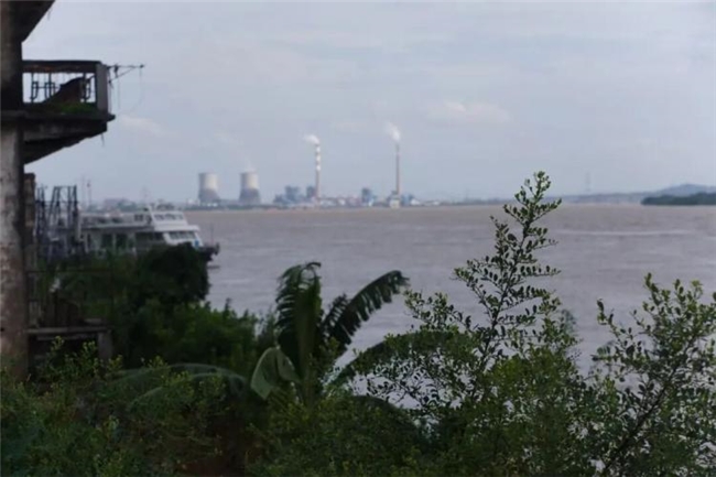 向水而行:三届南海大地艺术节,一场扎根乡土的长效艺术实践
