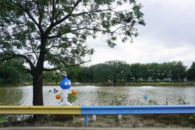 向水而行:三届南海大地艺术节,一场扎根乡土的长效艺术实践
