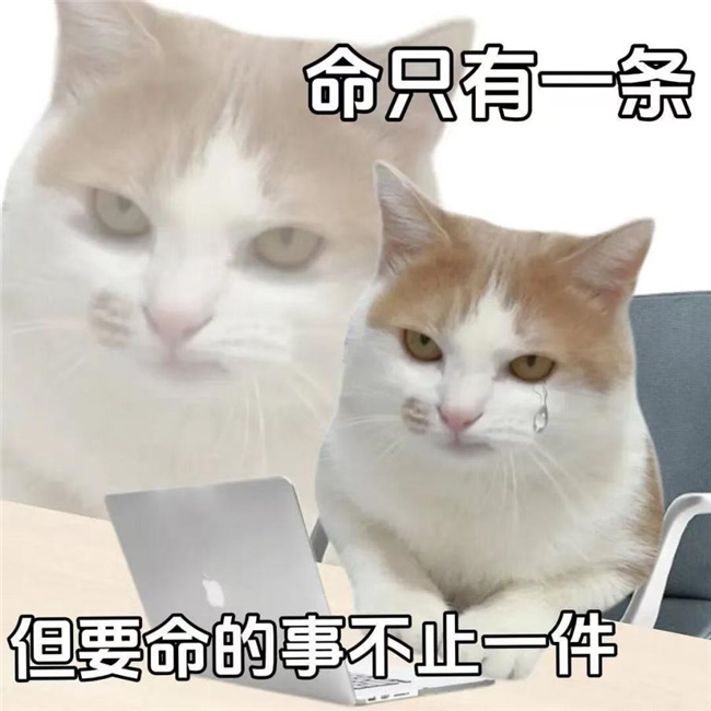 空气净化器选购的“反套路”指南:场景需求与参数匹配下,不同预算该怎么科学选型?
