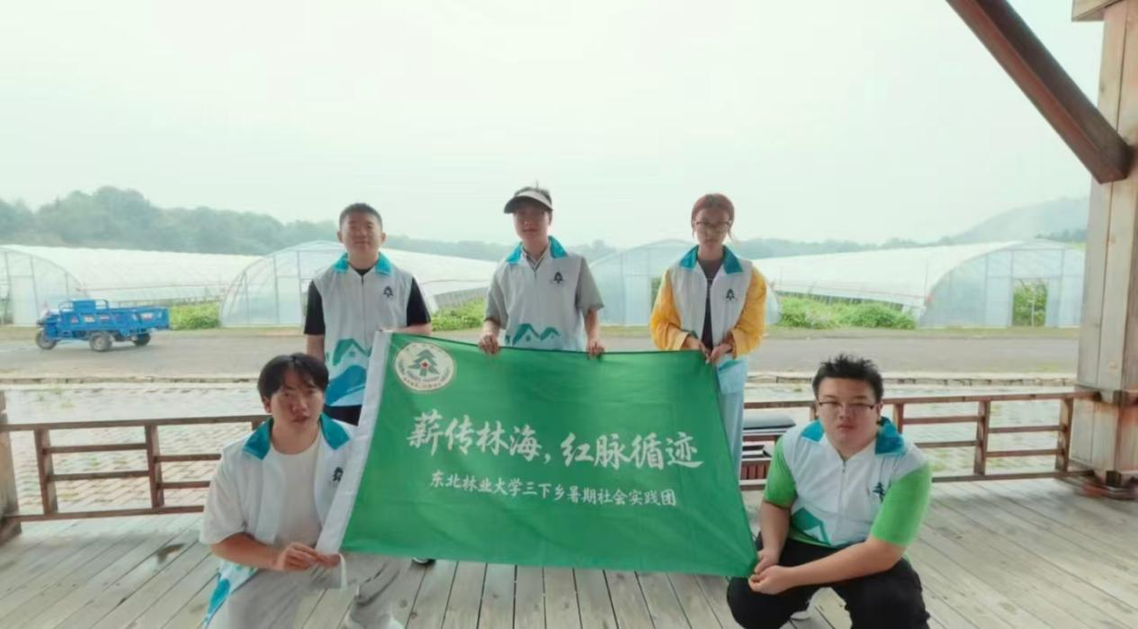 图片5.png 图片5.png