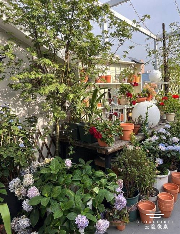 西安顶楼夏天闷热难耐?云隐像素屋顶花园隔热,降温又美观 西安顶楼夏天闷热难耐?云隐像素屋顶花园隔热,降温又美观