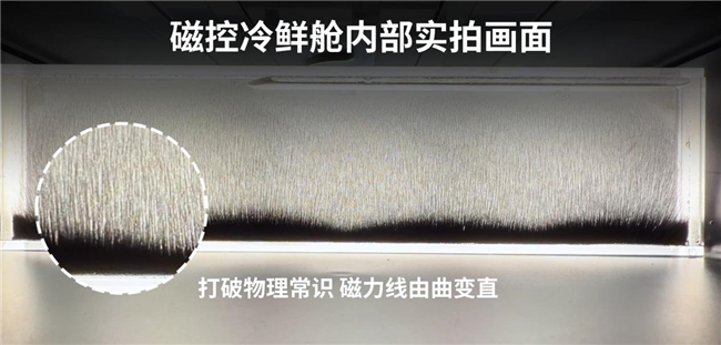 海尔AI磁控全空间保鲜冰箱冻鱼60天鲜香味美打破极限