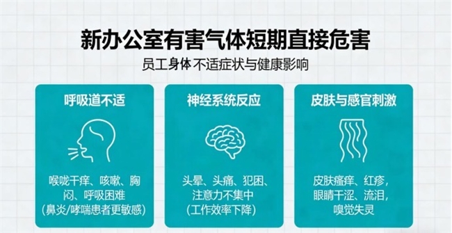 2026新装修办公室除甲醛攻略:初创公司急入驻、预算有限采购详解
