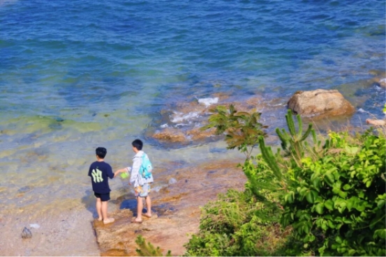 威海市环翠区：来海源公园，邂逅 "果冻海"