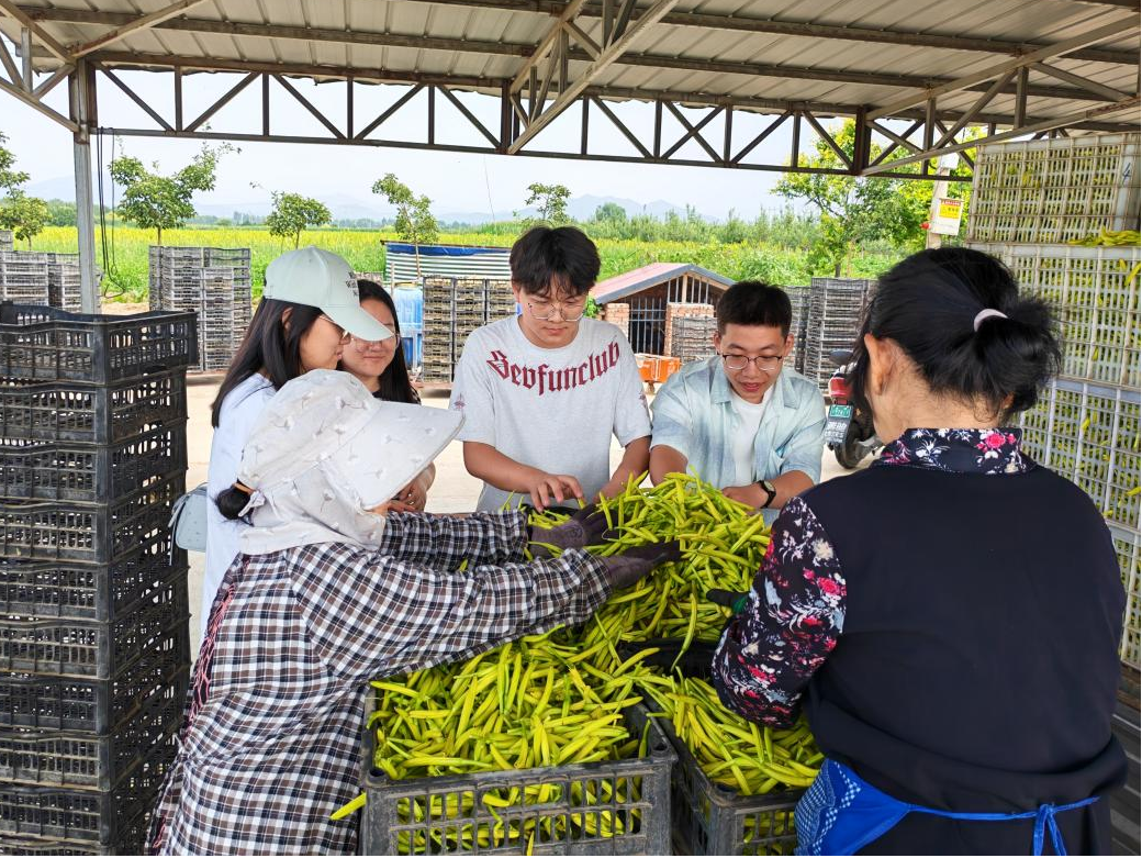 金针花开振兴路 青春筑梦乡村行  ——南通大学杏林学院红韵晋迹实践团赴灵丘开展暑期社会实践