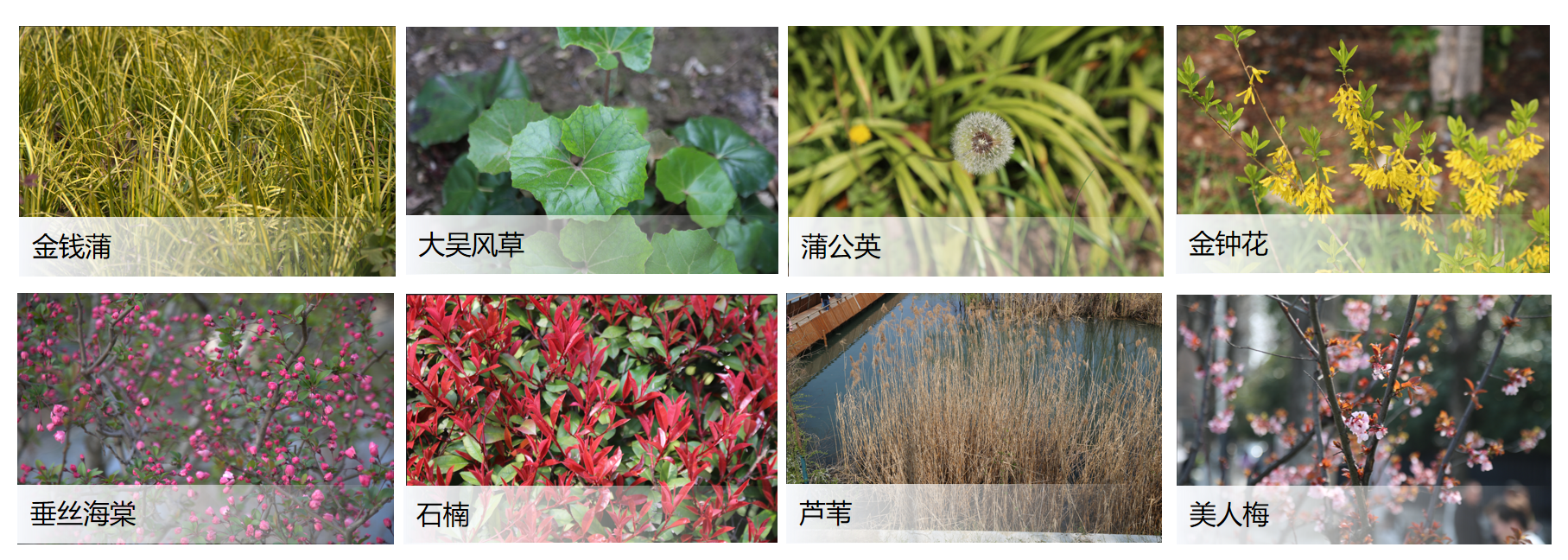 QQ20260823-160654.png