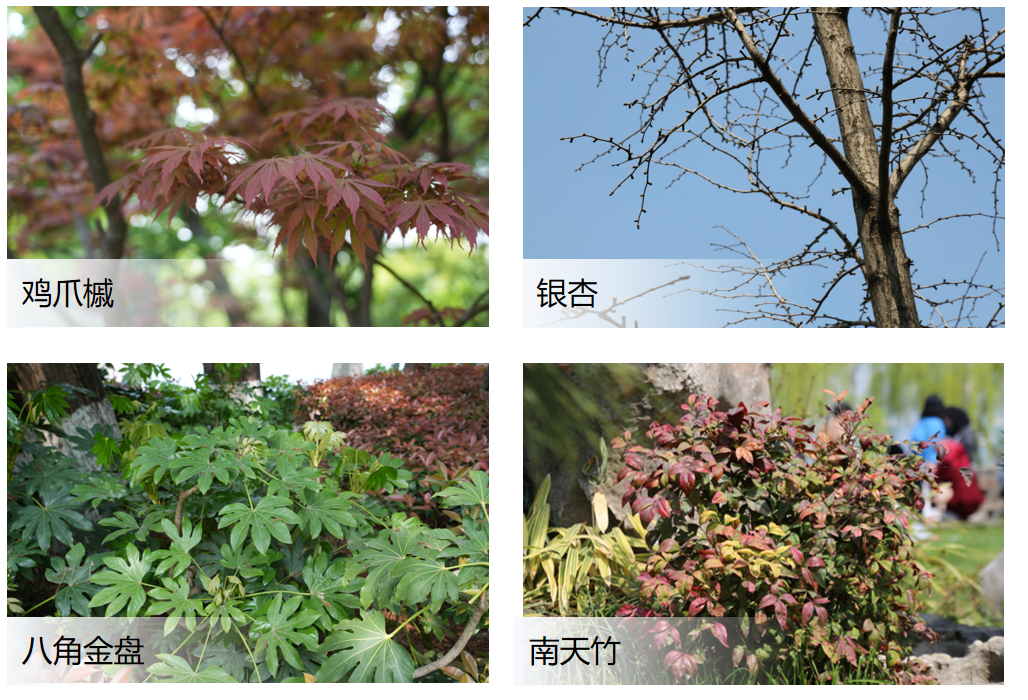 QQ20260823-160703.png