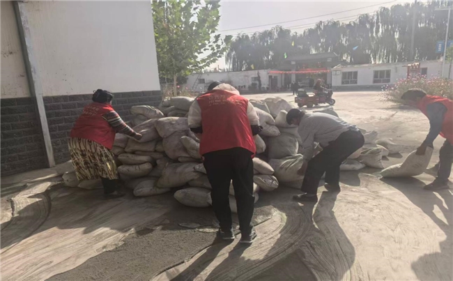 以水泥为媒 用汗水浇筑——后盾单位与志愿者共筑乡村“暖心路”
