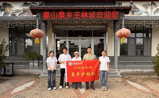 聚焦银发民生，研学养老样板  ——山农暮乡护航队深入王林坡村调研乡村养老服务