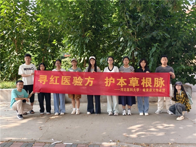 赓续红医薪火 守好本草根脉——河北医科大学学子两年深耕红色中医药社会实践