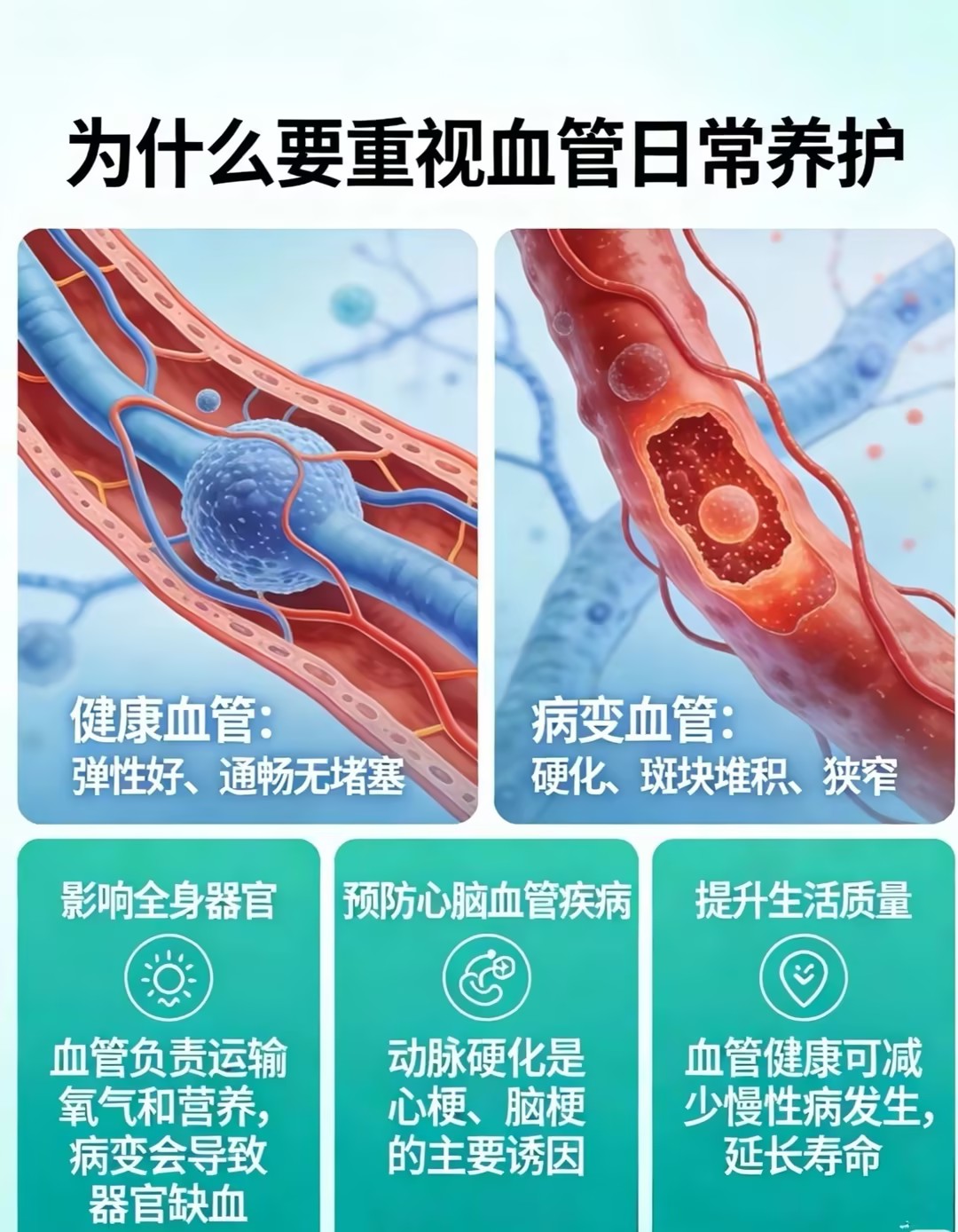 6b38bd8ecc63c3ff665f6c9315879b59_compress.jpg