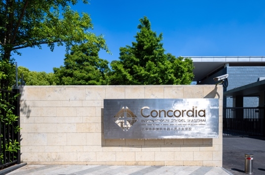 2026 AP成绩揭晓：Concordia表现持续亮眼，多科通过率100%