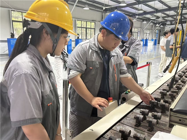 蒲惠万家：一株香蒲的产业突围与共富答卷