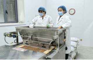 蒲惠万家：一株香蒲的产业突围与共富答卷