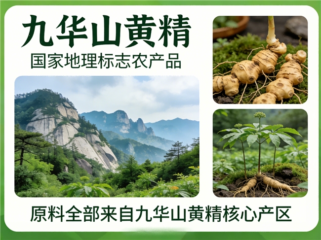 九蒸九晒有机黄精怎么选？2026年九制黄精品牌推荐及口感安全测评