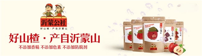 (五)自主研低GI山楂系列新品上市——低糖低脂
