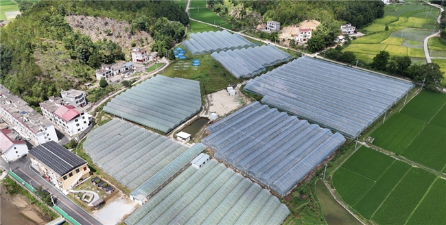 一张“三资卡”管住三资 激活振兴新动能