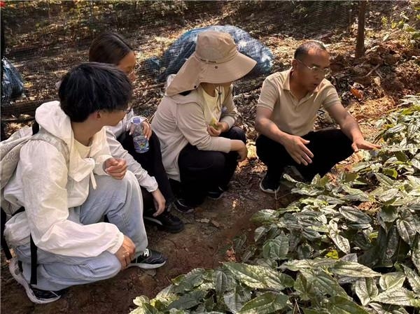 走进秦岭乡村沃土 青春助力乡村振兴——我校学子赴留坝县漩滩村开展乡村振兴调研实践