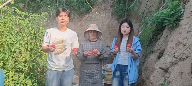 科技之花开在田间地头：“科尔沁草莓西红柿科技小院”携手微孔智肥打造绿色高效农业新